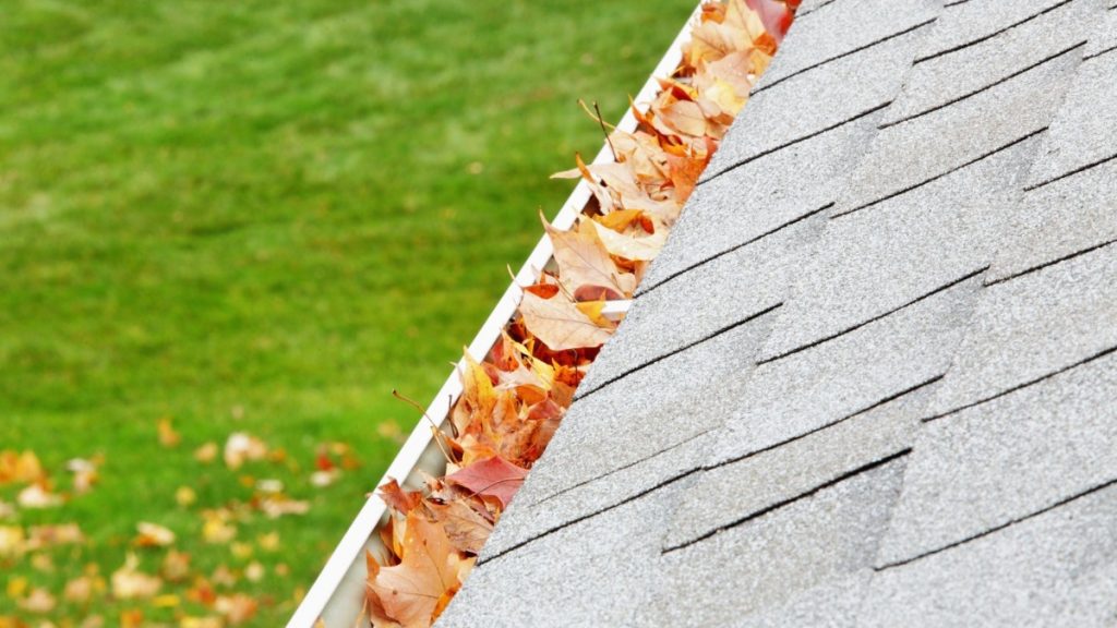 eavestrough cleaning in east gwillimbury ontario