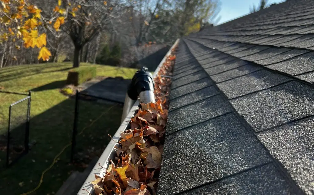 Top rated eavestrough cleaning king city